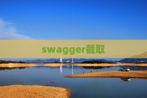swagger截取